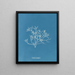 Gigartina pistillata - Anna Atkins — ingelijst kunstwerk aan de muur