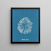 Halymenia furcellata - Anna Atkins — ingelijst kunstwerk aan de muur
