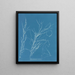 Helminthocladia virescens - Anna Atkins — ingelijst kunstwerk aan de muur