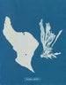 Jij eet regenbogen - Anna Atkins — weergave van het kunstwerk