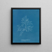 Laurencia pinnatifida en angusta - Anna Atkins — ingelijst kunstwerk aan de muur