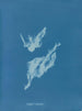 Lyngbya majuscula - Anna Atkins — weergave van het kunstwerk