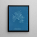 Nitophyllum Gmeleni - Anna Atkins — ingelijst kunstwerk aan de muur