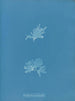 Nitophyllum versicolor - Anna Atkins — weergave van het kunstwerk