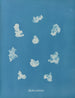 Nostoe commune - Anna Atkins — weergave van het kunstwerk