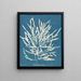 Odonthalie dentée - Anna Atkins — ingelijst kunstwerk aan de muur