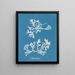 Phyllophora rubens - Anna Atkins — ingelijst kunstwerk aan de muur
