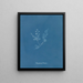 Polysiphonia Brodiaei Deel X - Anna Atkins — ingelijst kunstwerk aan de muur