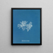 Polysiphonia cristata - Anna Atkins — ingelijst kunstwerk aan de muur