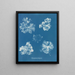 Polysiphonia fastigiata - Anna Atkins — ingelijst kunstwerk aan de muur