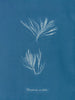 Polysiphonia urceolata - Anna Atkins | Schilderij — weergave van het kunstwerk
