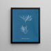 Polysiphonia urceolata - Anna Atkins | Schilderij — ingelijst kunstwerk aan de muur
