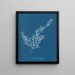Sargassum bacciferum - Anna Atkins — ingelijst kunstwerk aan de muur