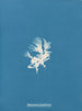 Schizonema parasiticum - Anna Atkins — weergave van het kunstwerk