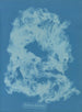 Vaucheria dichotoma - Anna Atkins — weergave van het kunstwerk