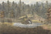Bassin et Chutes Thornery Sezincote - Anne Rushout — artwork view