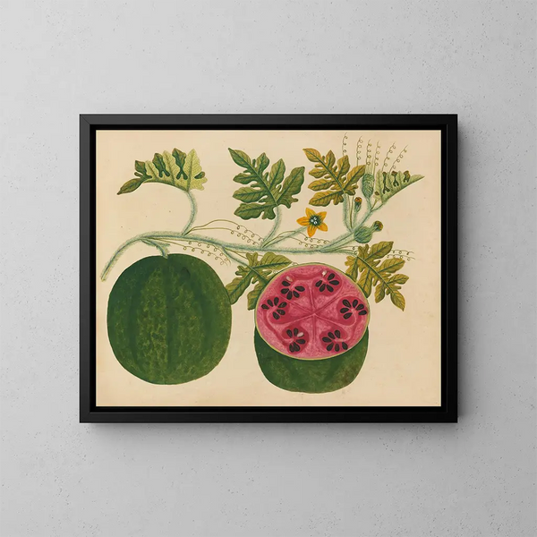 Album van aquarellen van Aziatische fruit en bloemen Pl29 - Anoniem — ingelijst kunstwerk aan de muur