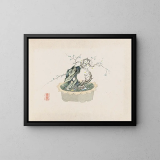 Anonymous - Bonsai kabenzu Pl06.webp