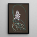 Collectie van orchideeën Pl37 - Anoniem — weergave van het kunstwerk