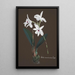 Reproductie van het schilderij Collectie van orchideeën Pl48 - Anoniem