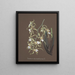Collectie van orchideeën Pl81 - Anoniem — ingelijst kunstwerk aan de muur