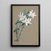 Reproductie van het schilderij Collectie van orchideeën Pl89 - Anoniem
