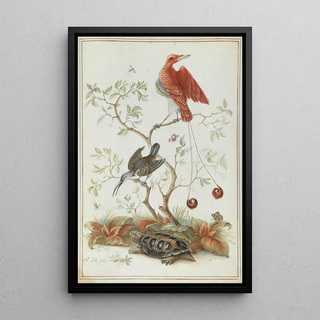 Anonymous - Exotische Vgel mit Schildkrte.webp