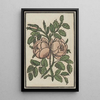 Anonymous - Flower.webp