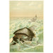 De Groenlandse Walvis - Anoniem — weergave van het kunstwerk