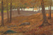 Hout in de herfst - Anoniem — weergave van het kunstwerk