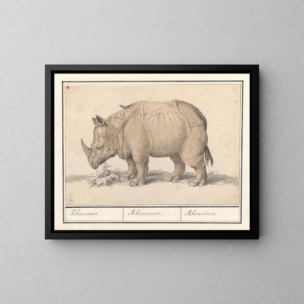 Indiase neushoorn - Anselmus Botius de Boodt — ingelijst kunstwerk aan de muur
