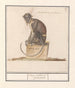 Suricate Cercopithecini Cerco pithecus prasianus - Anselmus Botius de Boodt — weergave van het kunstwerk