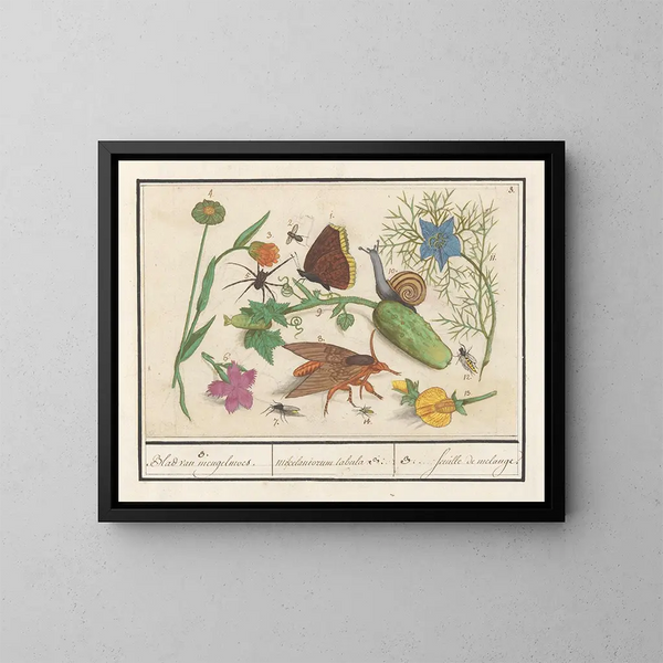 van het naturalistische ensemble schilderij nr. 3 - Anselmus Botius de Boodt — ingelijst kunstwerk aan de muur