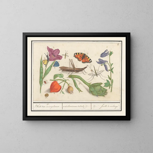 van natuurwetenschappelijke collectie nr. 17 Mengblad - Anselmus Botius de Boodt — ingelijst kunstwerk aan de muur