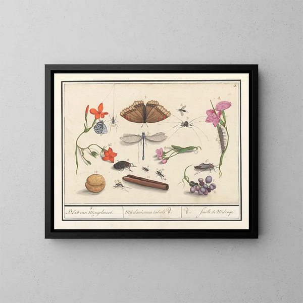 van natuurwetenschappelijke collectie nr. 8 Mengblad - Anselmus Botius de Boodt — ingelijst kunstwerk aan de muur
