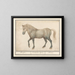 Paard - Anselmus Botius de Boodt — ingelijst kunstwerk aan de muur