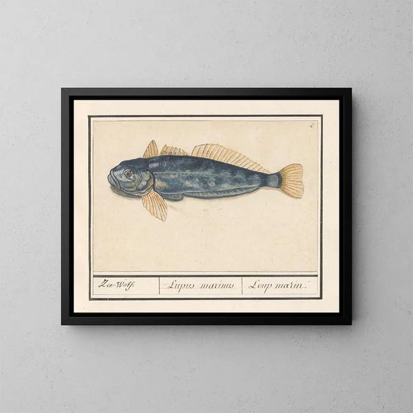 Zeemonster - Anselmus Botius de Boodt — ingelijst kunstwerk aan de muur