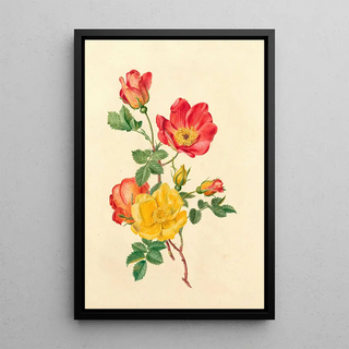 Antoinette Luden - Takje wilde rozen.webp