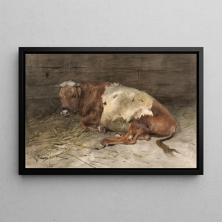 Anton Mauve - Liggende jonge stier.webp