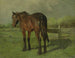 Paard - Anton Mauve — weergave van het kunstwerk
