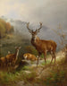 Rotwild - Anton Schmitz — weergave van het kunstwerk