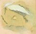 Witte spin in porselein - Emma Beach Thayer — weergave van het kunstwerk