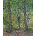 Reproductie van het schilderij Bomen - Vincent van Gogh