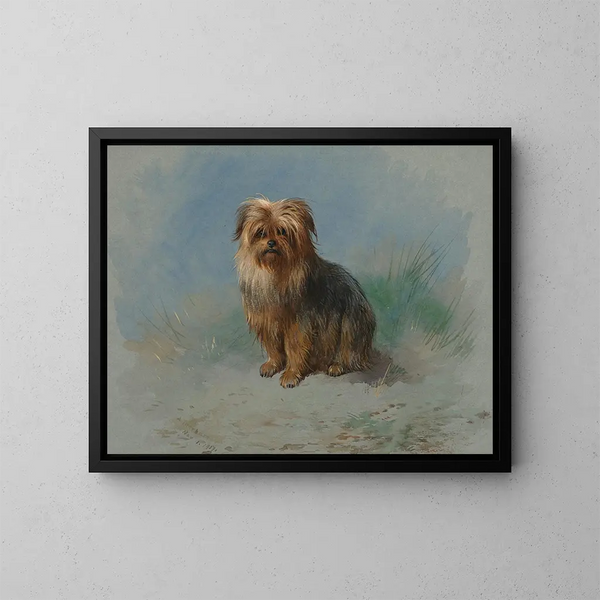 Een Norfolk Terrier - Archibald Thorburn — ingelijst kunstwerk aan de muur