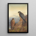 an adult and immature peregrine falcon - Archibald Thorburn — framed artwork on a wall