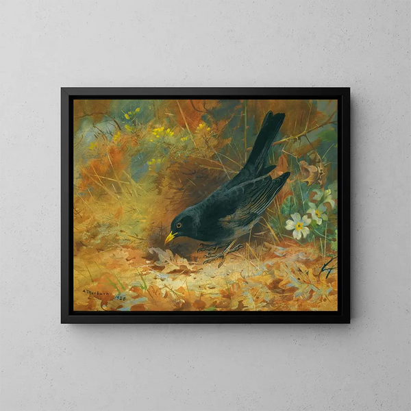 Merle noir - Archibald Thorburn — ingelijst kunstwerk aan de muur