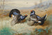 Tetrao-lyre at the lek - Archibald Thorburn — artwork view