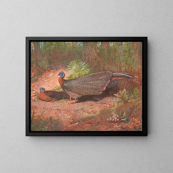 van de Bengaalse pelikaan - Archibald Thorburn — ingelijst kunstwerk aan de muur