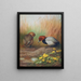 Fuligule milouin - Archibald Thorburn — framed artwork on a wall