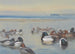 Canards le long du rivage - Archibald Thorburn — artwork view